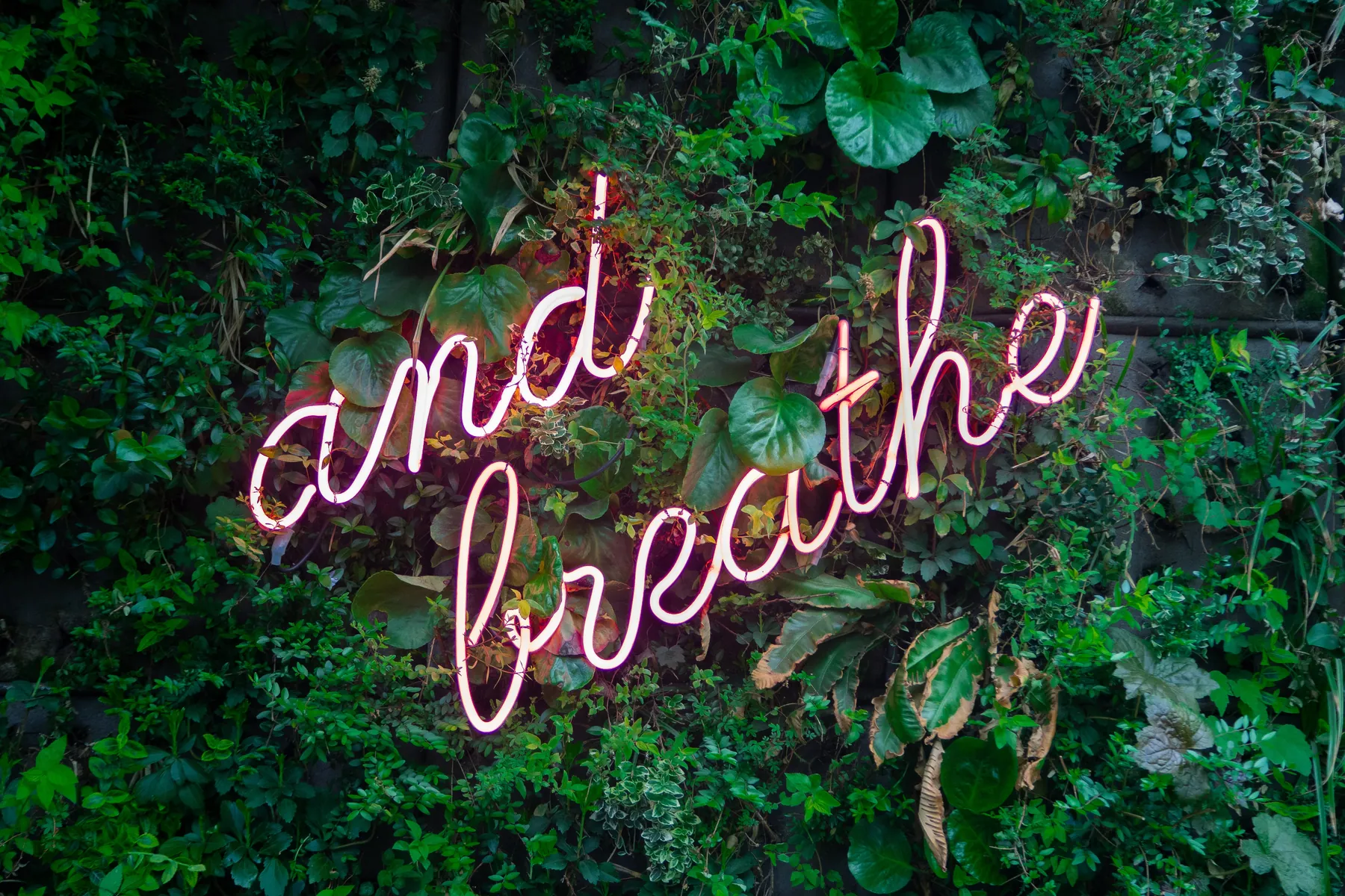 A neon sign reading "and breathe" on a wall of green plants